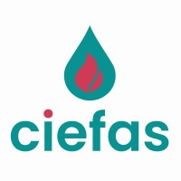 Ciefas logo - Similar company to Dnaswitch