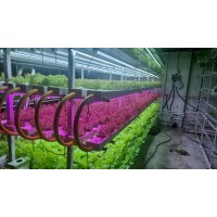 Ali Smart & Advance Farming Technologies logo - Similar company to Green Tech Global