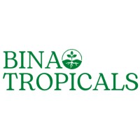 BinaTropicals logo - Similar company to Digitalind Official