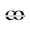 Chidinma Ofoegbu logo - Similar company to Clancommerce