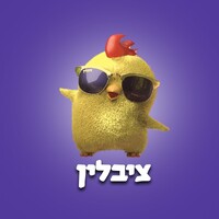Zivlin logo - Similar company to Studio Perets | סטודיו פרץ