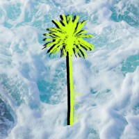 No Beach No Life logo - Similar company to Ebanman, Inc.