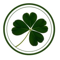 Nytris Inc. logo - Similar company to Abundance Inc.