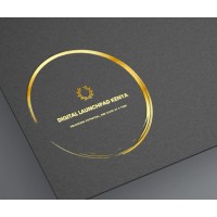 Digital Launchpad Kenya logo - Similar company to Bringing Smiles Foundation