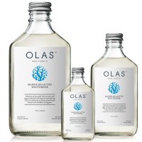 OLAS Inc logo - Similar company to Curtesae