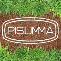 PISUMMA logo - Similar company to Sencamer