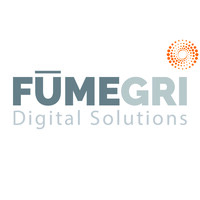 FümeGri Digital Solutions logo - Similar company to Q&Co