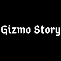 Gizmo Story logo - Similar company to Functionfit | Simplifying Fitness