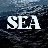 SEA MGMNT logo - Similar company to Summerjax Studios