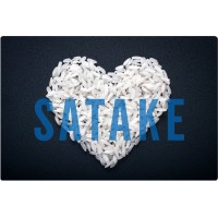 SATAKE AMÉRICA LATINA LTDA logo - Similar company to Satake
