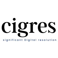 Cigres Technologies Private Limited logo - Similar company to Cignex