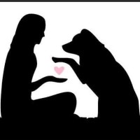 Connected Canine LLC logo - Similar company to Abc Intelligence Inc.