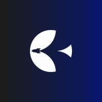 Bandeira Aerospace logo - Similar company to Infinity Academy 3D