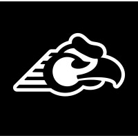 Lincoyan logo - Similar company to Senavin - Servicios Navales E Industriales Spa