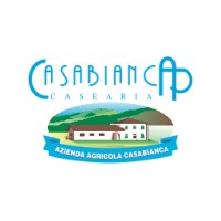 CASEARIA CASABIANCA SRL logo - Similar company to Fast Time S.R.L.