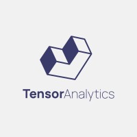 Tensor Analytics LTD logo - Similar company to Vipe Analytics