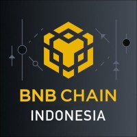 BNB Chain Asia logo - Similar company to Bnb Foundation
