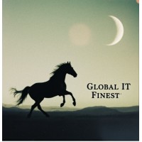 GLOBAL IT FINEST INC logo - Similar company to Tyrant King Inc