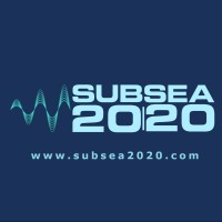 SUBSEA 20/20 logo - Similar company to Blk Elk