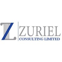 Zuriel Consulting Limited logo - Similar company to I.M.I.T Technologies