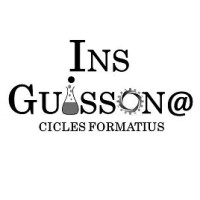 INS Guissona logo - Similar company to Tecoman 98