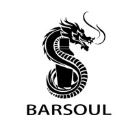 Barsoul Glassware and Bar Tools logo - Similar company to Espritmind