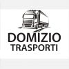 DOMIZIO TRASPORTI logo - Similar company to Allservice Trasporti