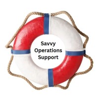 Savvy Operations Support logo - Similar company to Bison Analytics