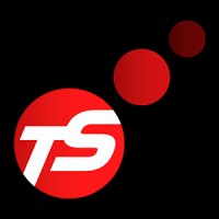 Techsolgroup logo - Similar company to Ilase