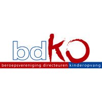 bdKO logo - Similar company to Brainwave Consultancy