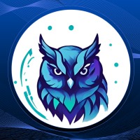 BlueOwl Technologies logo - Similar company to Blueowl Career Prep + Advising
