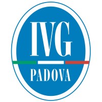 IVG Padova logo - Similar company to Ivg Vicenza