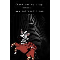 The Zebra Medic logo - Similar company to Zercurity (Acquired By Jumpcloud)