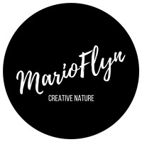 Mario Flyn (Creative Nature) logo - Similar company to Golden Vap Ecologic