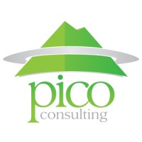 Pico Consulting logo - Similar company to Pico
