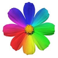 Inviolate Infotech logo - Similar company to Lamba Coaching & Consulting