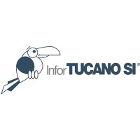 InforTucano logo - Similar company to Websystems