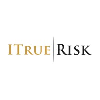 ITrueRisk logo - Similar company to Business Partner Solutions Inc.