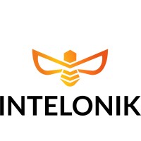 Intelonik logo - Similar company to Veprof