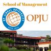 School of Management (OPJU) logo - Similar company to Op Jindal University