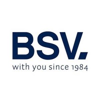 BSV Electronic logo - Similar company to Bslight