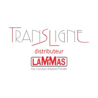 TRANSLIGNE logo - Similar company to Ats2000 Srl