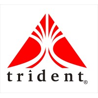 Trident Services Pvt. Ltd. logo - Similar company to Trident Services Inc.