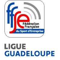 FFSE - Ligue Guadeloupe logo - Similar company to 2Ms_Antilles