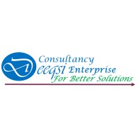 Deeqsi Consultancy - DC Enterprise logo - Similar company to Hlbsom- Audit And Advisory