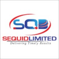 Sequid Project Management consultant logo - Similar company to Sequid Hardware Ltd