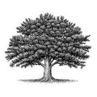 Oak & Reed Capital Management logo - Similar company to Morgiana Fitness
