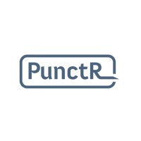 PunctR - CareVisionair b.v. logo - Similar company to Spoedzorgacademy