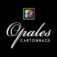 OPALES CARTONNAGE ET IMPRESSION logo - Similar company to Boat Adverts