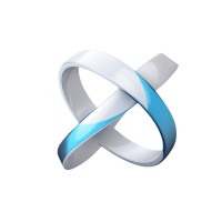 NextGenX logo - Similar company to Orbit Analytics